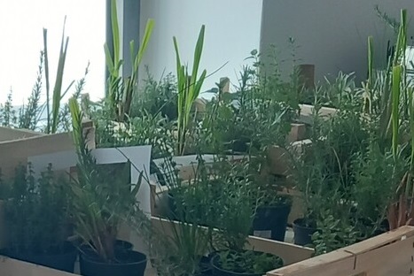 20221006 115936 1.jpvrticki g