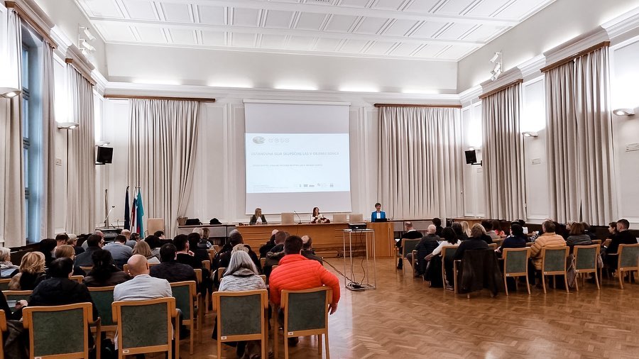 332102018 574062361412242 5267695314733302109 n