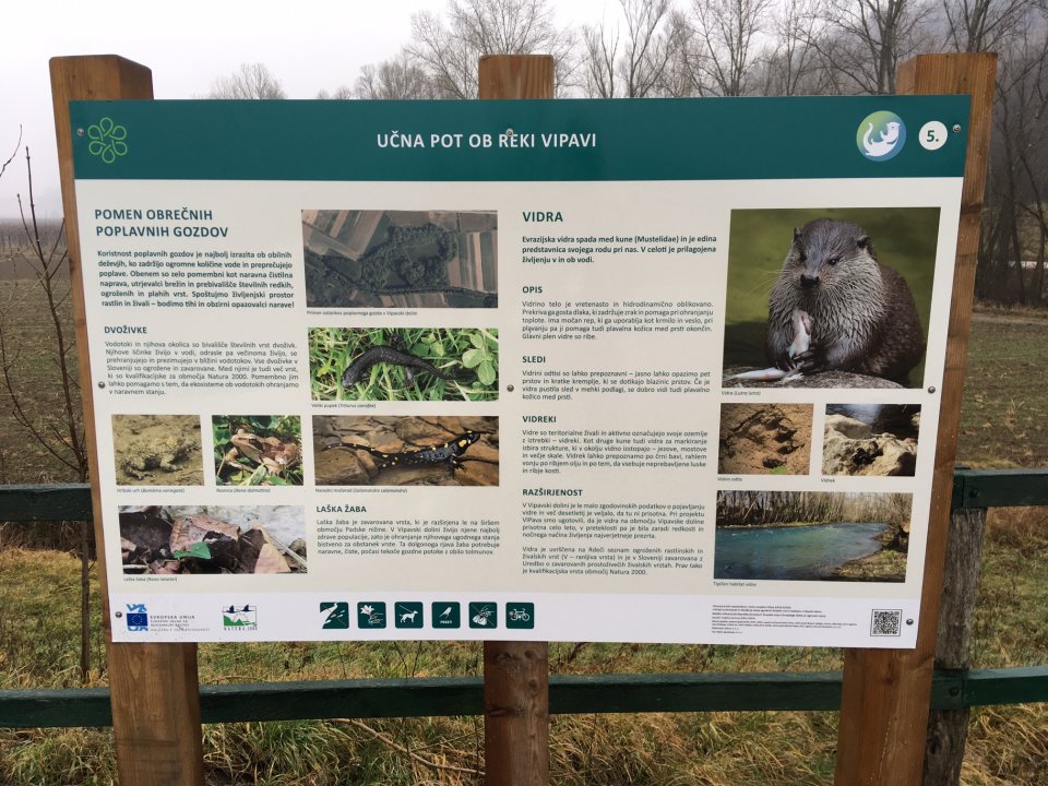 Foto QR koda na tabli 004