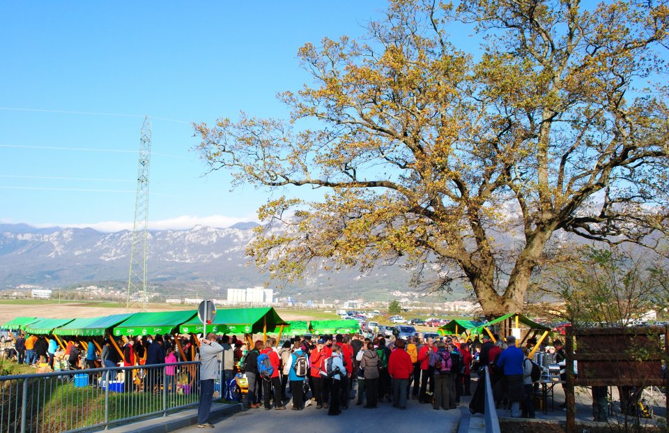 Vertovčev pohod 2013 242