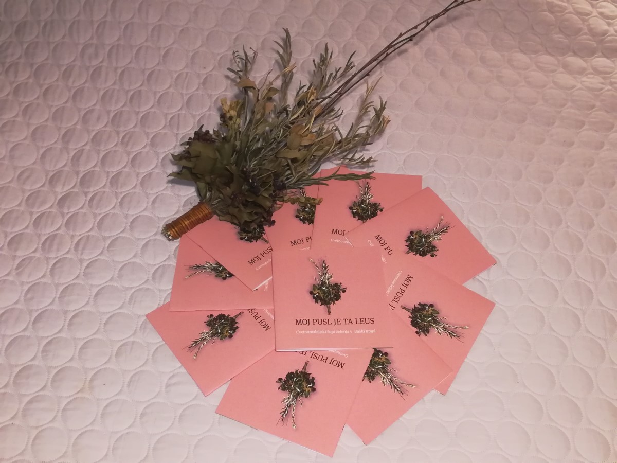 pusl 20211112 203914